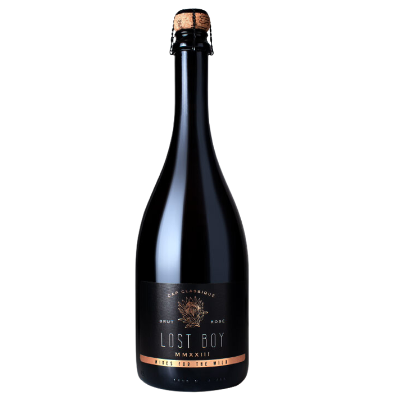 Lost Boy Brut Rose MMXX111